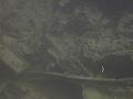 Thistlegorm (26)